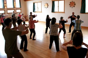 Martial Arts Reunion @ Blue Ridge Center for Chinese Medicine